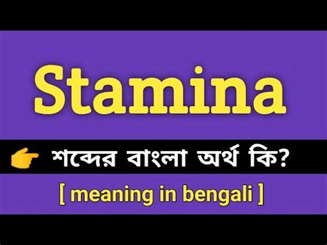 Stamina Meaning In Bengali Stamina Bengali