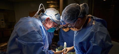 Stat Nyu Langone Kicks Off Recent Series Of Xenotransplant Firsts Nyu Langone News
