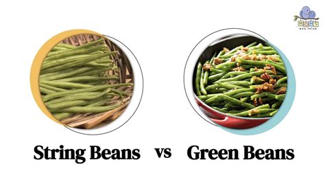 String Beans Vs Green Beans What Amp 39 S The Difference Preparedcooks Com String Beans Vs Green Beans What Amp 39 S The Difference Preparedcooks Com