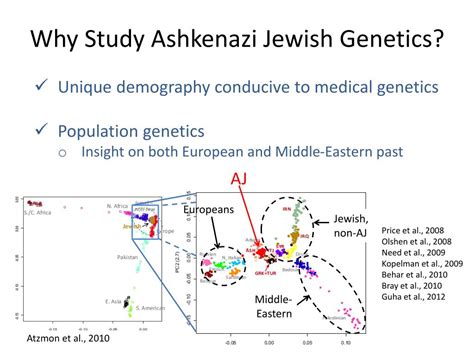 Study Sheds Light On Ashkenazi Jewish Genome And Ancestry Columbia University Department Of Systems Biology