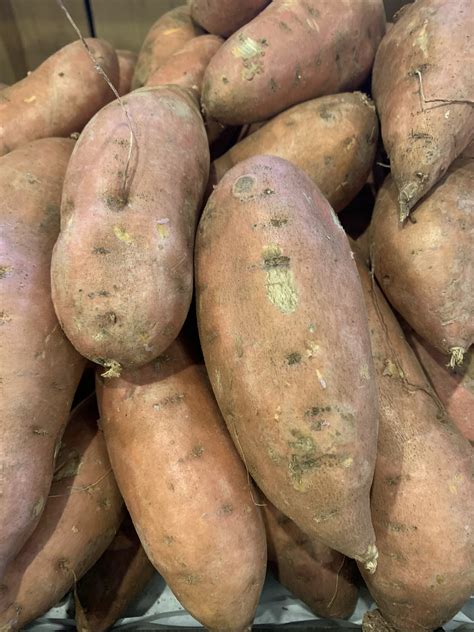 Sweet Potatoes Per Lb Alstede Farms Nj Sweet Potatoes Per Lb Alstede Farms Nj