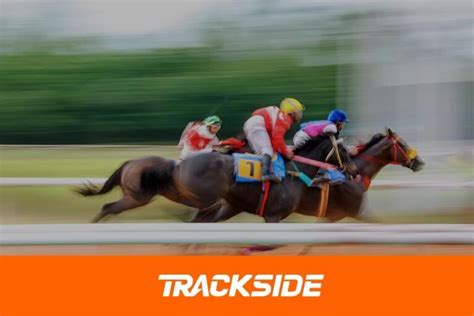 Tab Radio Trackside New Zealand Horse Racing Commentary Tab Radio Trackside New Zealand Horse Racing Commentary