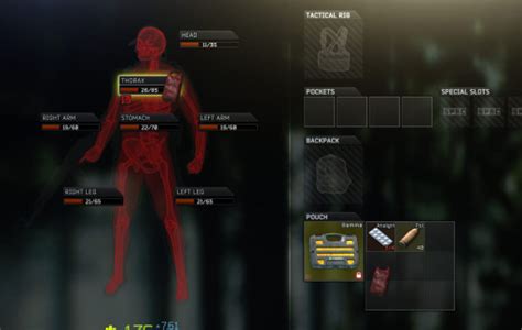 Tarkov Health Per Body Part