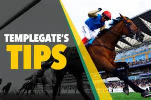 Templegate's Tips For Today