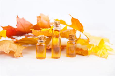 The Best Maple Extract To Buy The Coconut Mama The Best Maple Extract To Buy The Coconut Mama