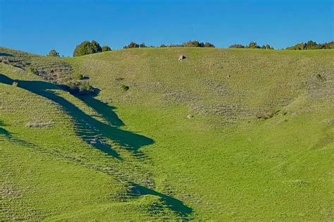 The Castro In The 80S From The Outside And Within By Sean Garrett Lots Of Crazy Things Have Happened In San Francisco You Should Know About Some Of Theme Medium The Castro In The 80S From The Outside And Within By Sean Garrett Lots Of Crazy Things Have Happened In San Francisco You Should Know About Some Of Theme Medium