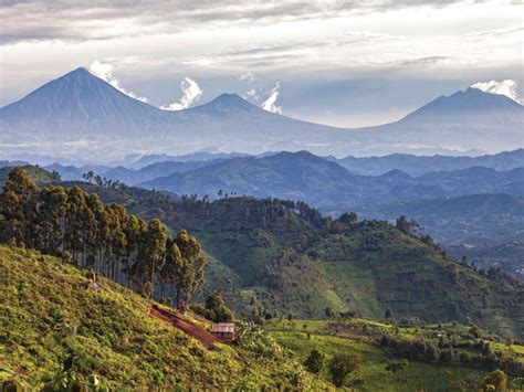 The Land Of A Thousand Hills A Visit To Rwanda The Traumatized Heart Of Africa Ami Magazine