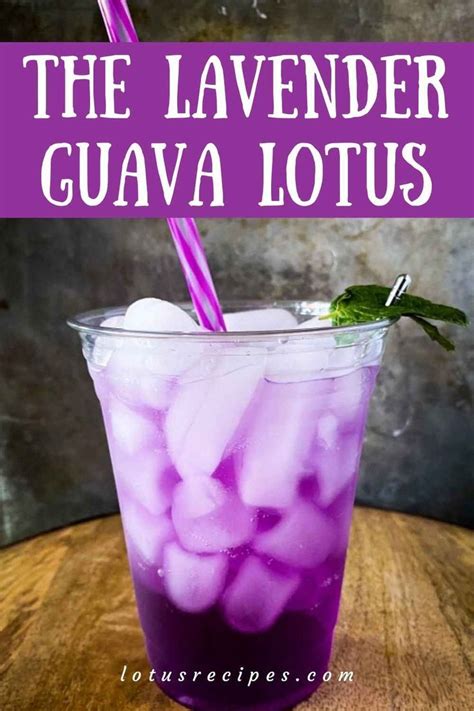 The Lavender Guava Lotus Lotus Recipe Torani Syrup Recipes Energy