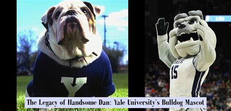 The Legacy Of Handsome Dan Yale University Amp 39 S Bulldog Mascot