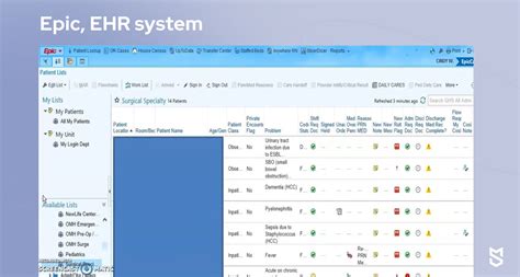 The Lws In Epic Healthcare