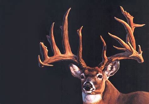 The Mystery Of The Ahrens Buck A World Record Whitetail That Vanished The Mystery Of The Ahrens Buck A World Record Whitetail That Vanished