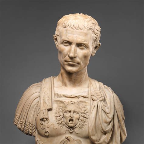 The Unfortunate History Of Julius Caesar The Unfortunate History Of Julius Caesar