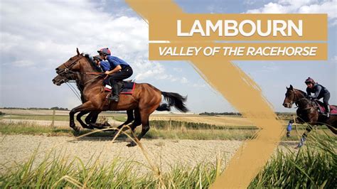 The Valley Of The Racehorse Lambourn
