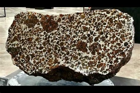 Top 11 Famous Meteorites Fossilera Com