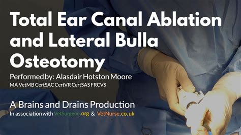 Total Ear Canal Ablation Combined With Lateral Bulla Osteotomy For End