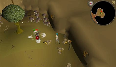 Tree Spirit Osrs: Fastest Routes For Efficient Gameplay