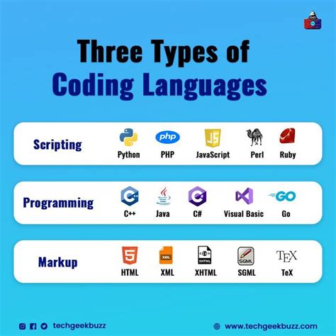 Unlocking Diversity: Types of Coding Explored