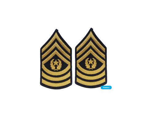U S Army E9 Sergeant Major Gold On Blue Sew On Female Small Sta Brite Insignia Inc