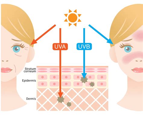 Understanding The Impact Of Uv Rays On Your Skin Cult