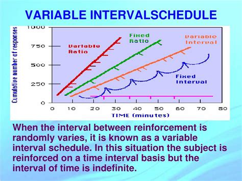 Mastering Variable Interval Schedule Strategies