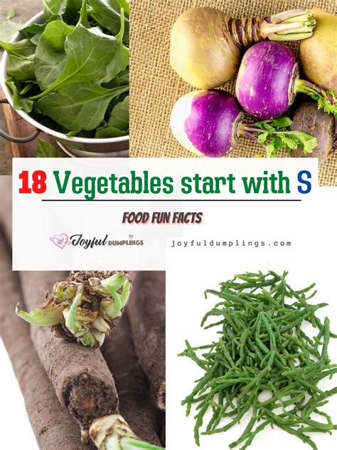 Why Vegetables That Start With Sy Matter For Your Kitchen And Garden