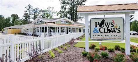 Veterinarian In Wilmington Nc Paws Amp Claws Animal Hospital