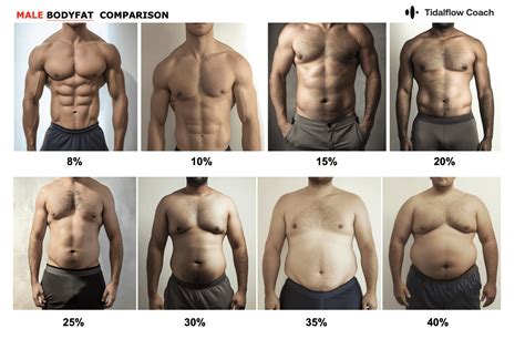 What 4 Different Body Fat Percentages Look Like On Real Men Men S Journal