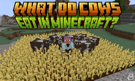 What Do Cows Eat In Minecraft