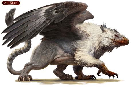 Mysterious: What Is a Gryphon Revealed!