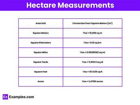 What Is a Hectare: Simple Answer Explored