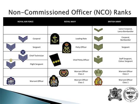 What Is A Non Commissioned Officer In The Us Army World Armies What Is A Non Commissioned Officer In The Us Army World Armies