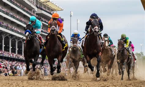 What To Know About 2024 Kentucky Derby Horses