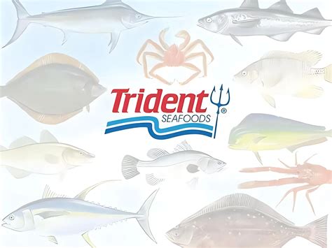Where To Buy Trident Seafood