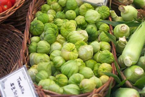 Where To Find Tomatillos In Grocery Stores Revealed
