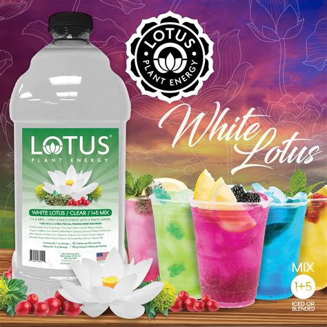 White Lotus Drink Flavor At Lois Wing Blog
