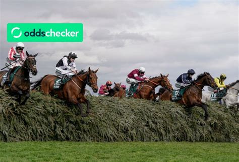 Who Won The Grand National 2024 Oddschecker