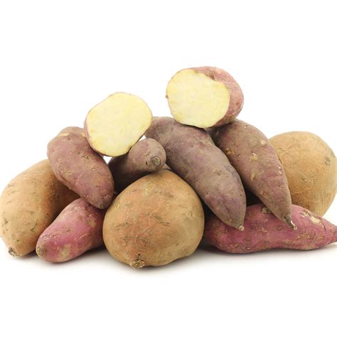 Wholesale 1000 Plant Sweet Potato Bundles Steele Plant Company Wholesale 1000 Plant Sweet Potato Bundles Steele Plant Company