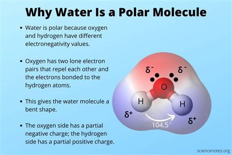 Why Water's Polarity Matters: Simple Explanation