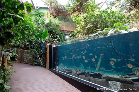 World S Largest Freshwater Aquarium World S Largest Freshwater Aquarium
