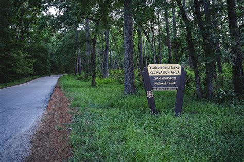 Your Ultimate Guide To Sam Houston National Forest Houstonia Magazine